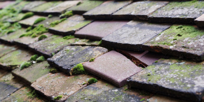 Ramsey St Marys roof repair costs